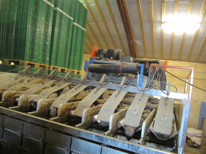 3370 Newtec 2009G +Gillenkirch+EMVE weigher and pack