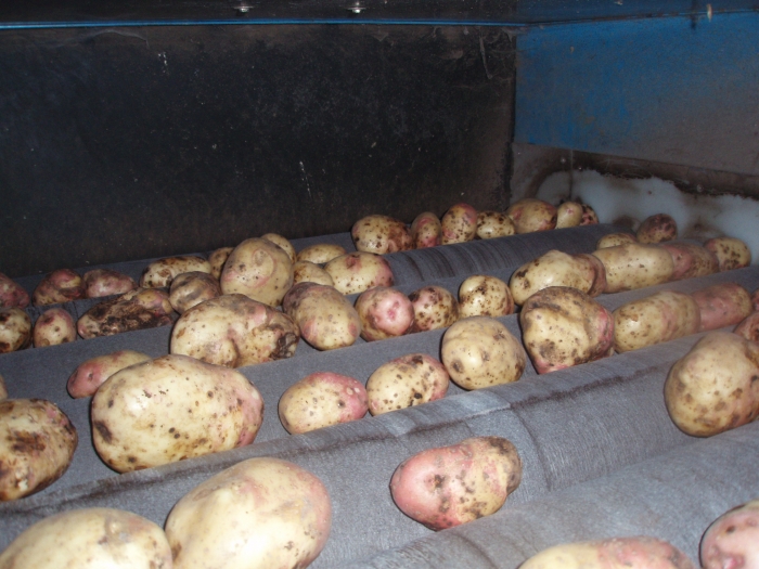3413 EMVE potato washer with drier table