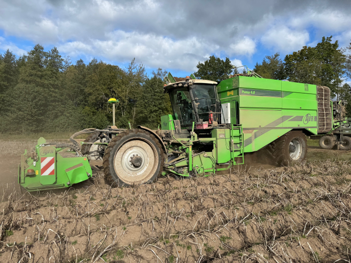 6203 AVR Puma 4 selfpropelled potato harvester