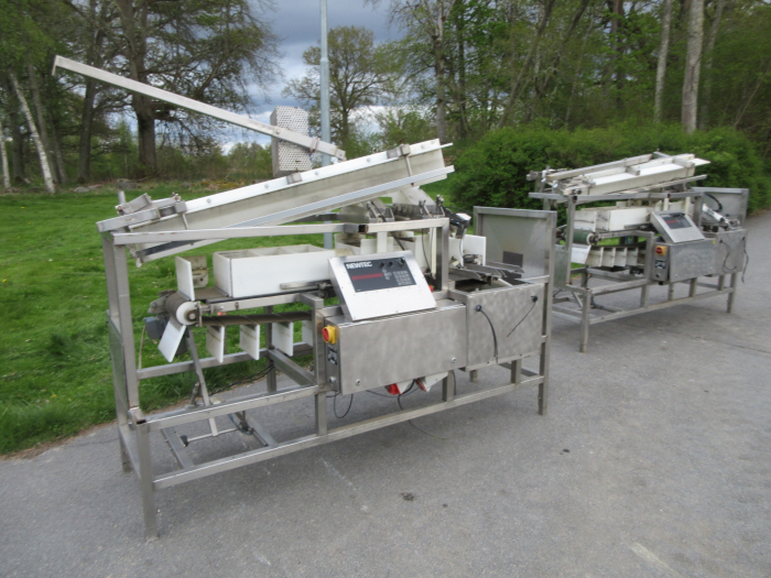 6235 Newtec NBM 50 Denester and punnet filler