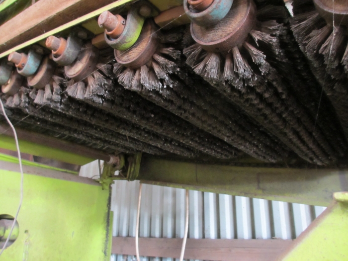 3506 Skals Potato sorter complete line