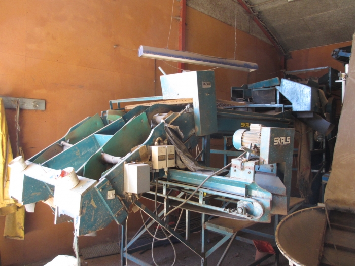 3576 SKALS potato grading line