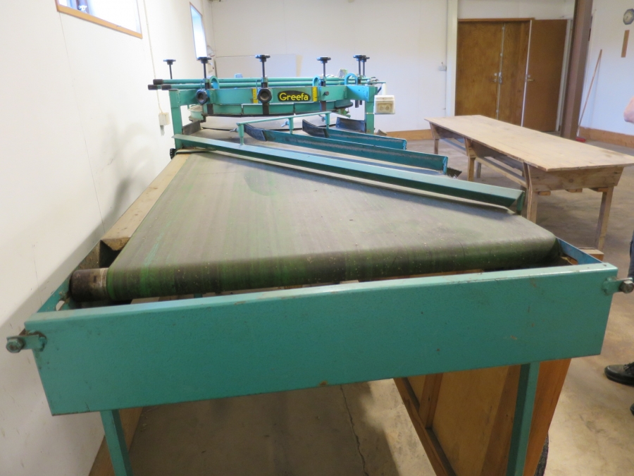 4159 Greefa apple sorter
