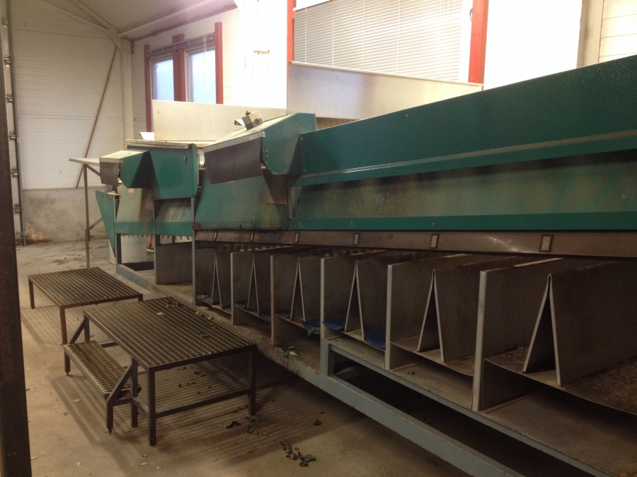4235 Olimex Super 1197 grader for roses