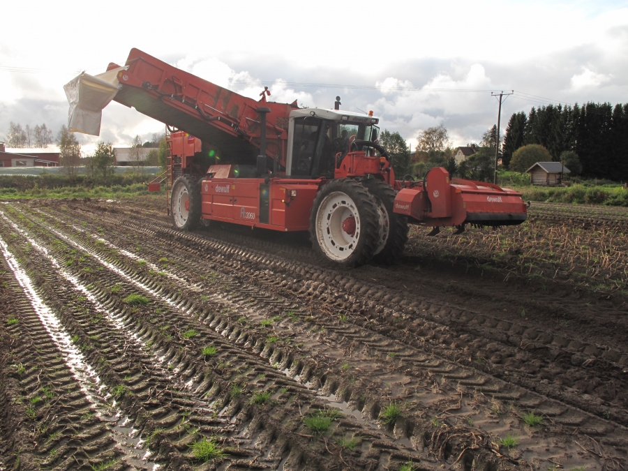 4290 DEWULF RQ3060 potato harvester