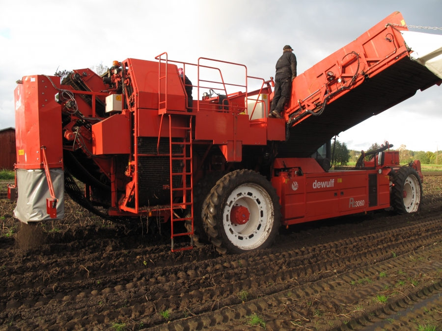 4290 DEWULF RQ3060 potato harvester