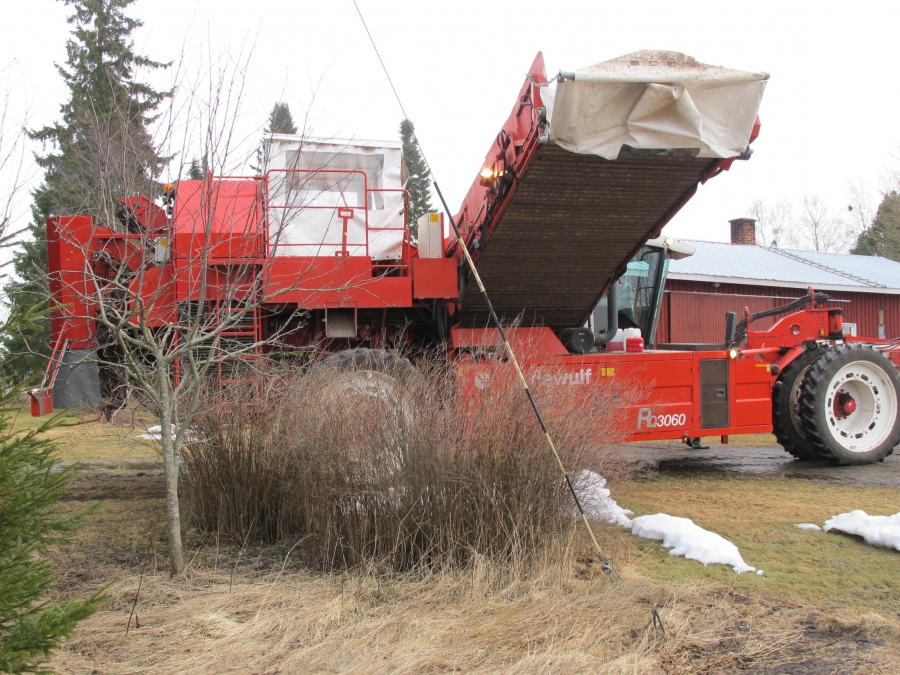 4290 DEWULF RQ3060 potato harvester