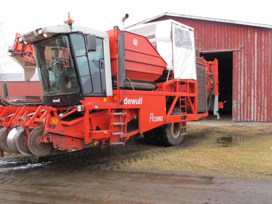 4290 DEWULF RQ3060 potato harvester