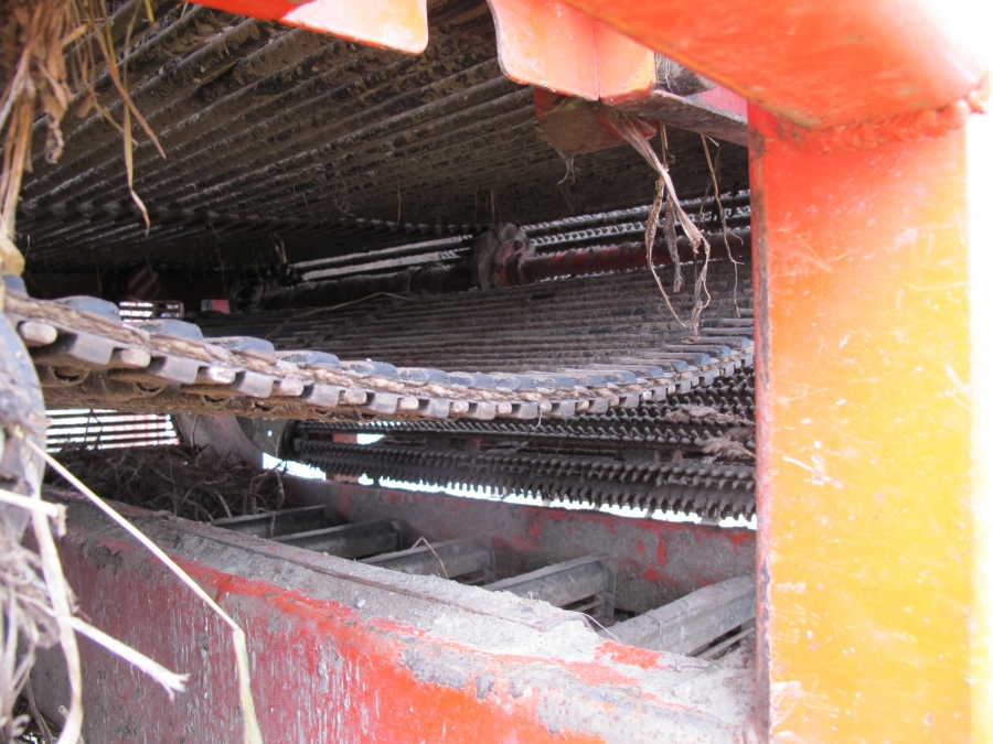 4290 DEWULF RQ3060 potato harvester