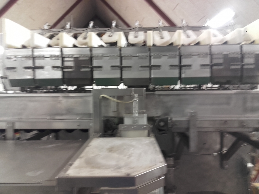 4149 Newtec 2009XB Komputerwaage 