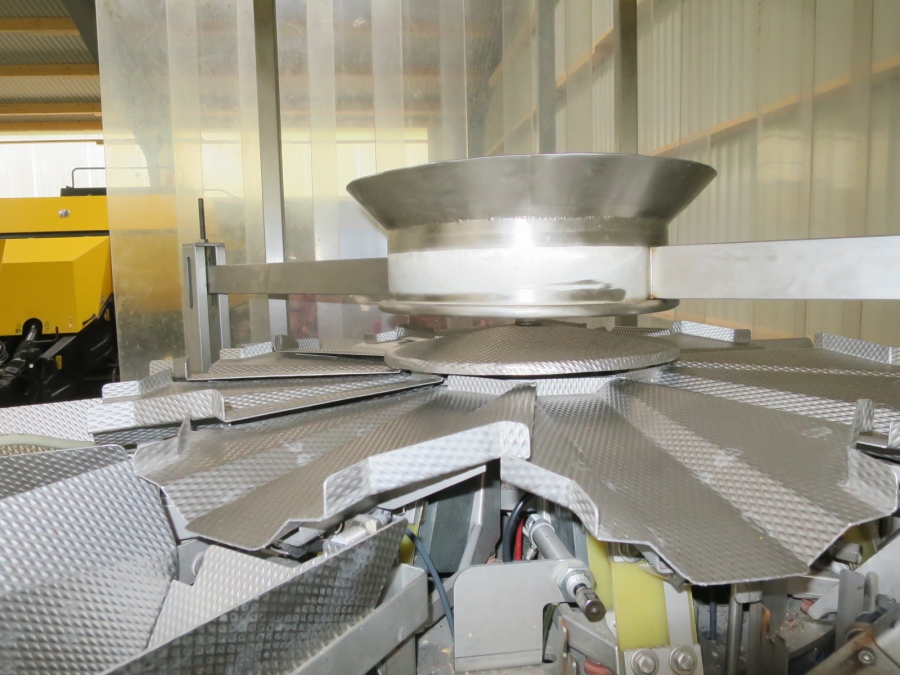 4354 Bilwinco Multihead weigher  DL60/10-D 10 head
