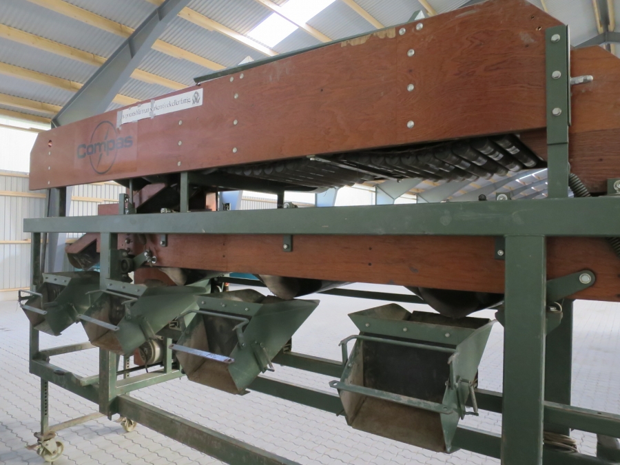 4373 Compas EAS60 potato grader