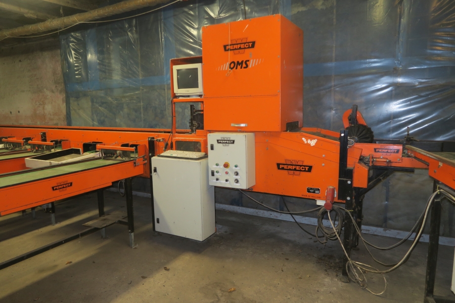 4387 Perfect Apfelsortieranlage Komplettes Linie
