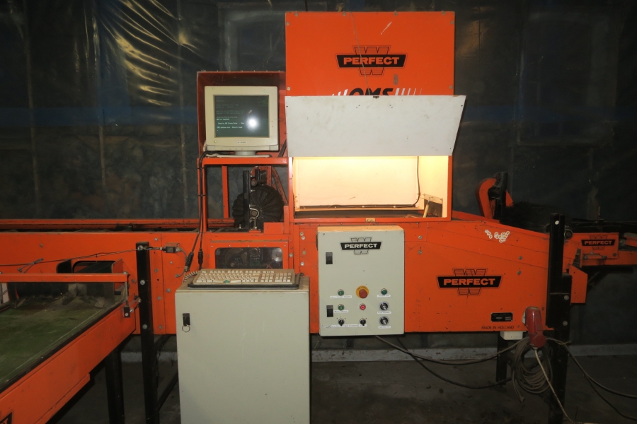 4387 Perfect Apfelsortieranlage Komplettes Linie