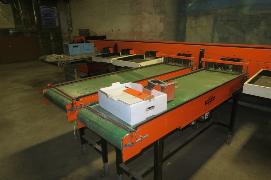 4387 Perfect Apfelsortieranlage Komplettes Linie