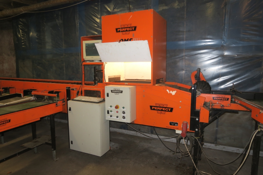 4387 Perfect Apfelsortieranlage Komplettes Linie