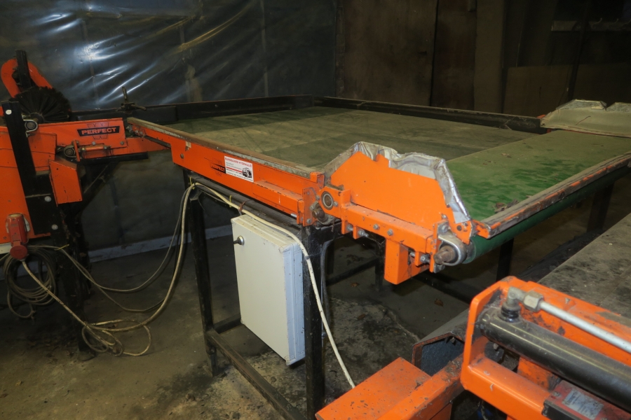 4387 Perfect Apfelsortieranlage Komplettes Linie