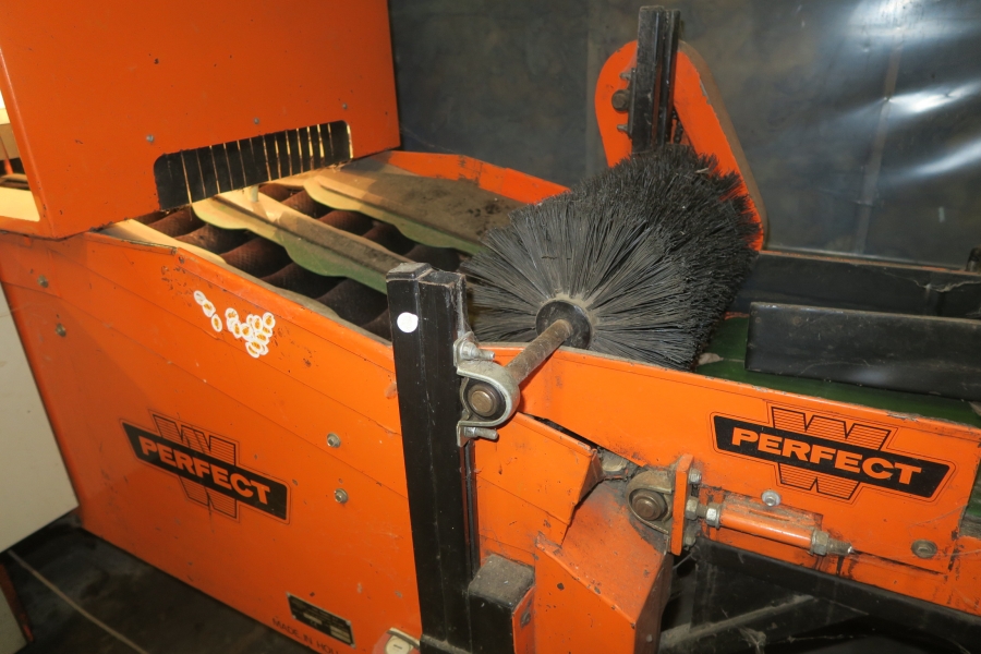 4387 Perfect Apfelsortieranlage Komplettes Linie