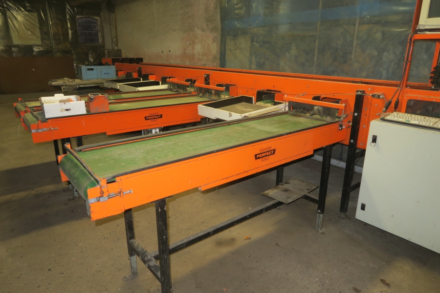 4387 Perfect Apfelsortieranlage Komplettes Linie