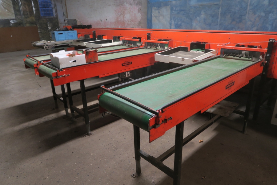 4387 Perfect Apfelsortieranlage Komplettes Linie