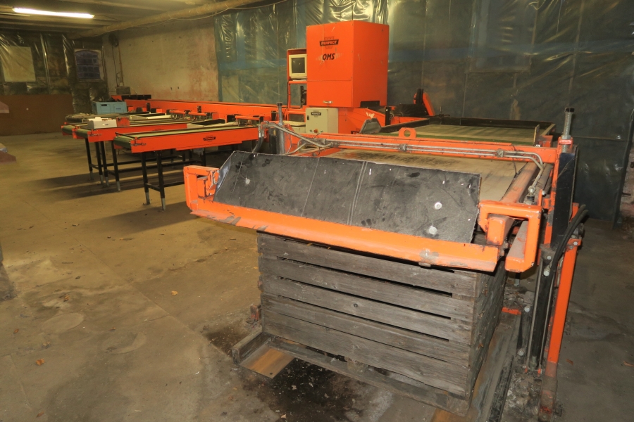 4387 Perfect Apfelsortieranlage Komplettes Linie