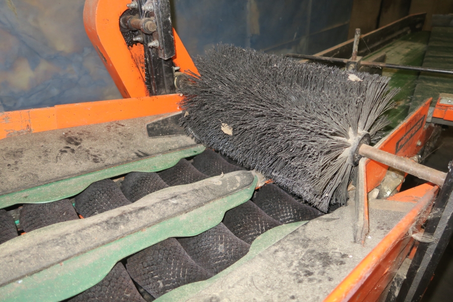 4387 Perfect Apfelsortieranlage Komplettes Linie