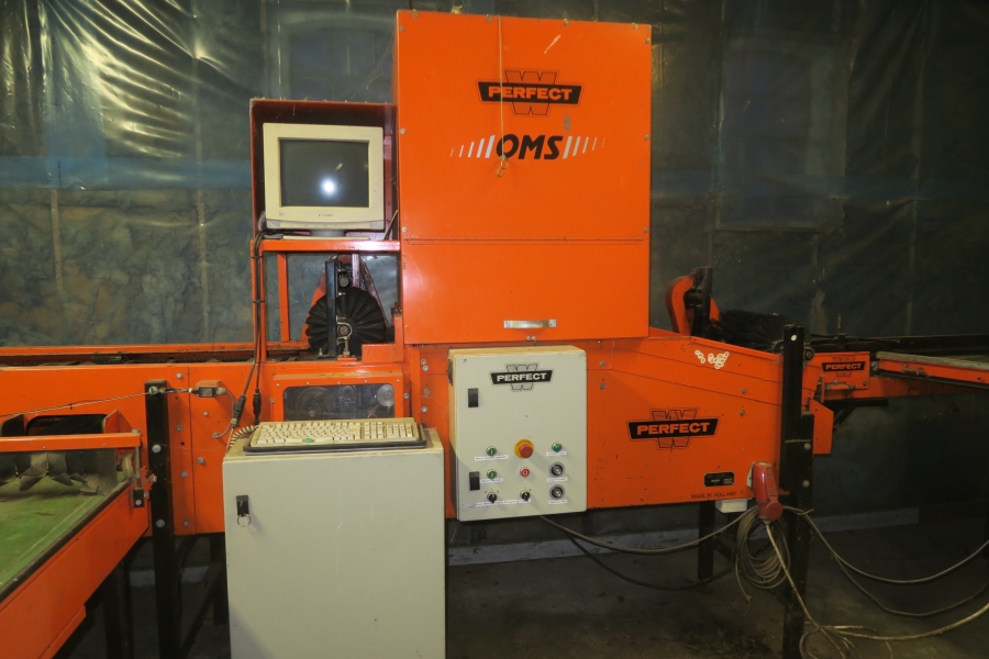 4387 Perfect Apfelsortieranlage Komplettes Linie