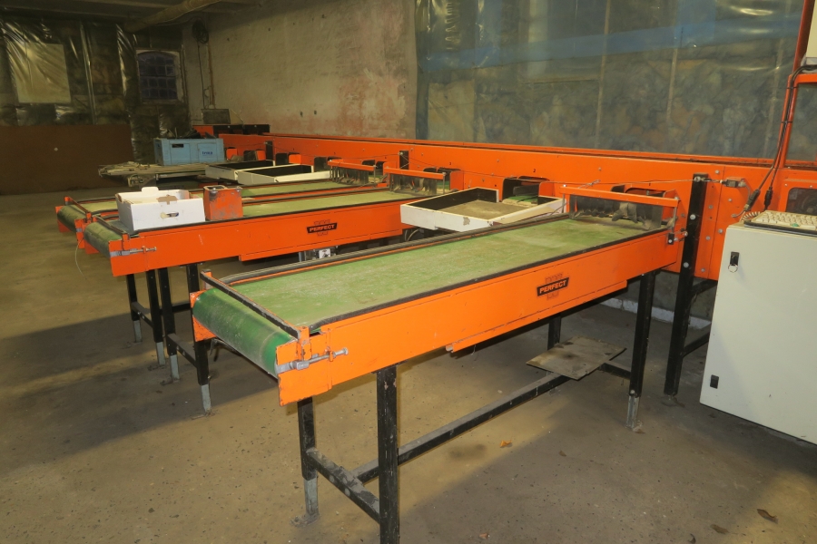 4387 Perfect Apfelsortieranlage Komplettes Linie