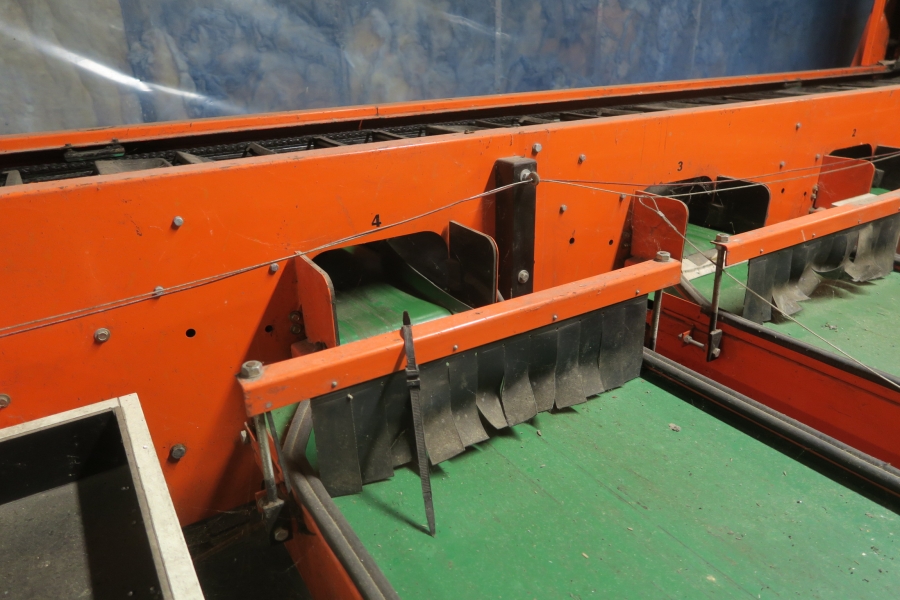 4387 Perfect Apfelsortieranlage Komplettes Linie