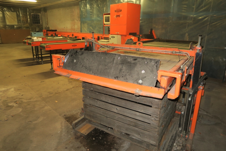4387 Perfect Apfelsortieranlage Komplettes Linie