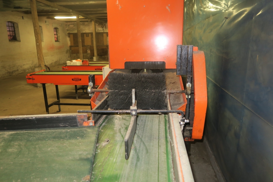 4387 Perfect Apfelsortieranlage Komplettes Linie