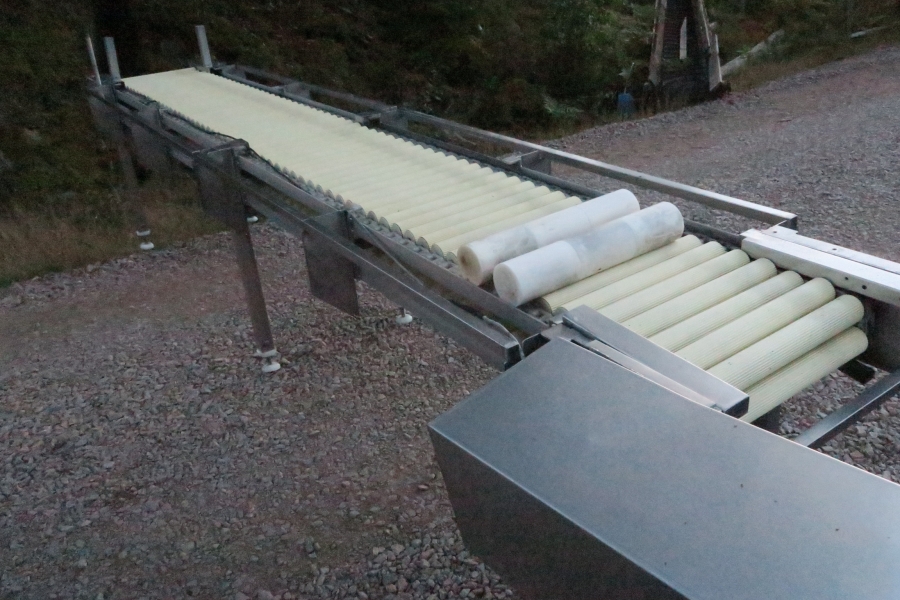 4395 Dornow inspection table 4500x500 mm