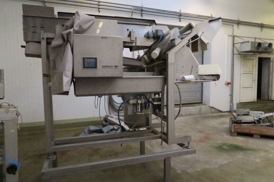 4399 Agroselector 6T-3 optical grader for peeled potatoes