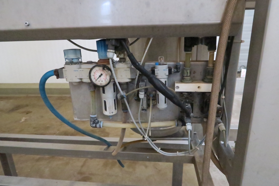 4399 Agroselector 6T-3 optical grader for peeled potatoes
