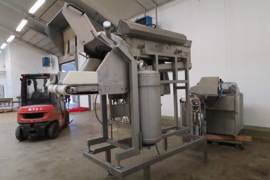 4399 Agroselector 6T-3 optical grader for peeled potatoes