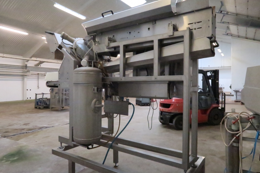 4399 Agroselector 6T-3 optical grader for peeled potatoes