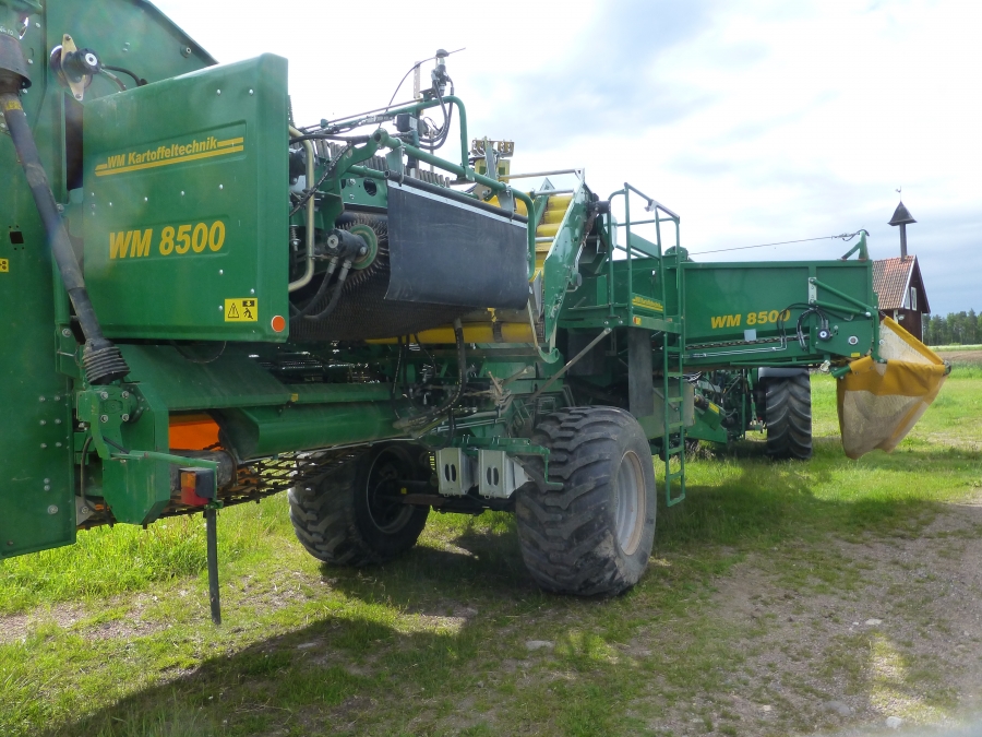 4592 WM Kartoffeltechnik 8500 2 Reihe Kartoffelroder