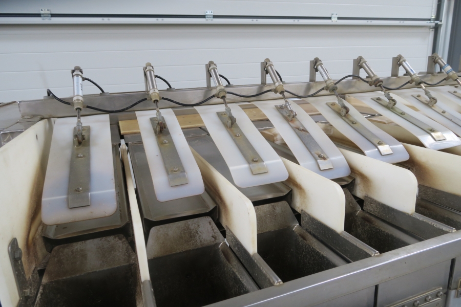 4616  Newtec 2009G Computer weigher for carrots