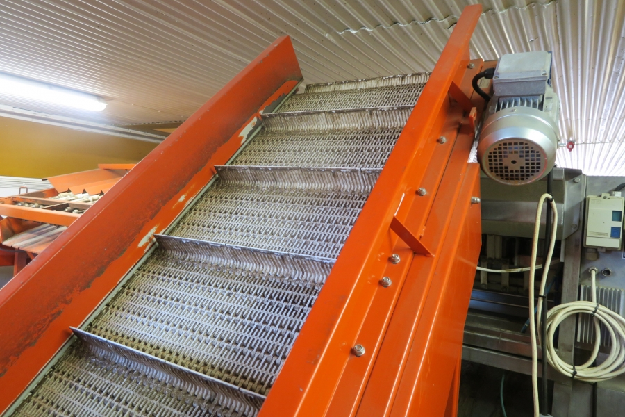 4646 Komplettes Wasch und Verpackungslinie für Möhren
