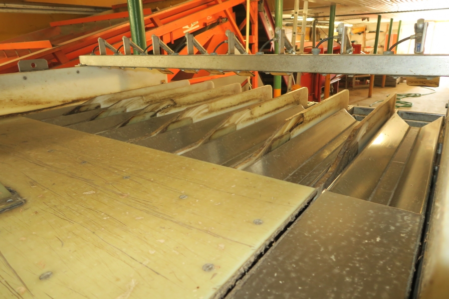 4646 Komplettes Wasch und Verpackungslinie für Möhren