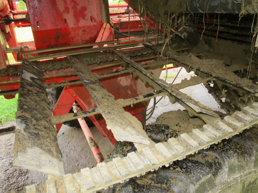 4679 Grimme SE75-30 potato harvester