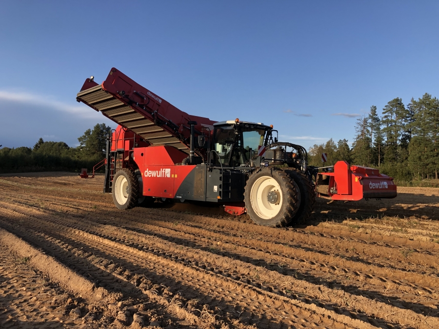 4702 Dewulf RQA3060 potato harvester selfpropelled