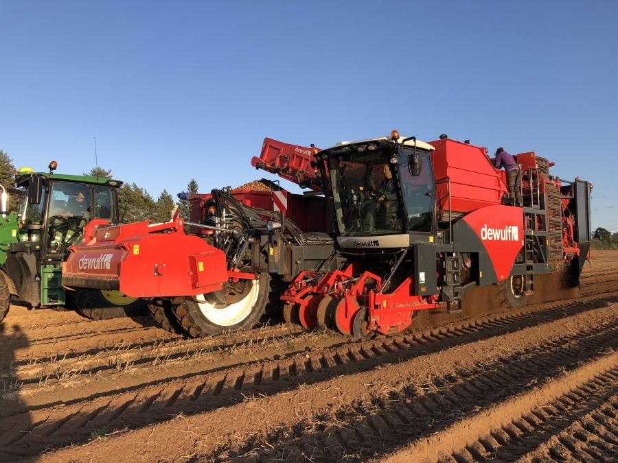 4702 Dewulf RQA3060 potato harvester selfpropelled