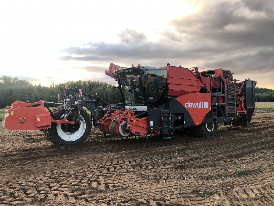 4702 Dewulf RQA3060 potato harvester selfpropelled