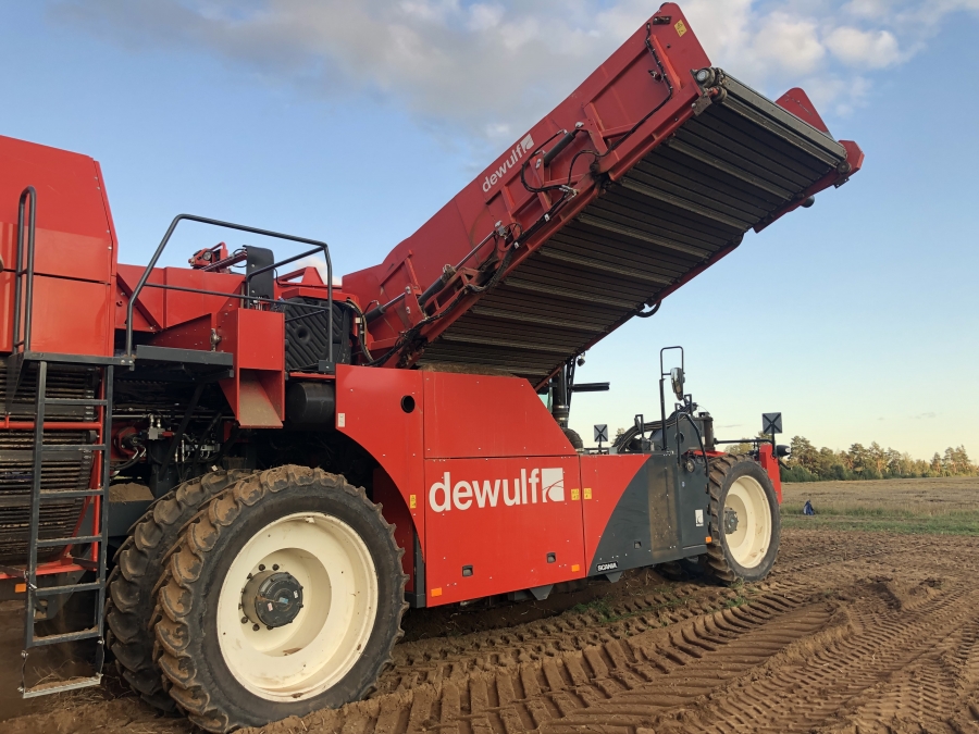 4702 Dewulf RQA3060 potato harvester selfpropelled