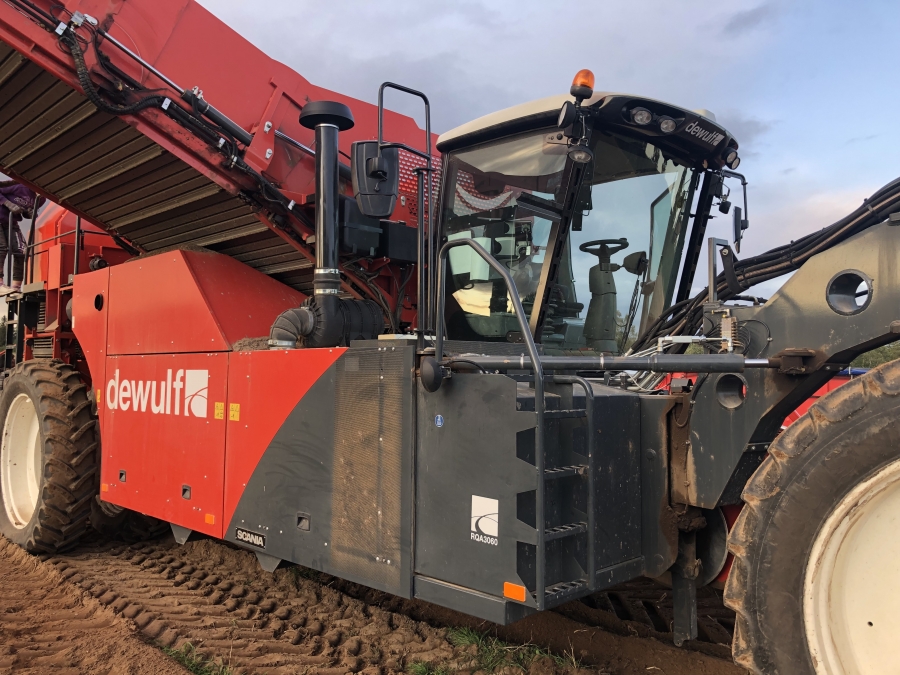 4702 Dewulf RQA3060 potato harvester selfpropelled