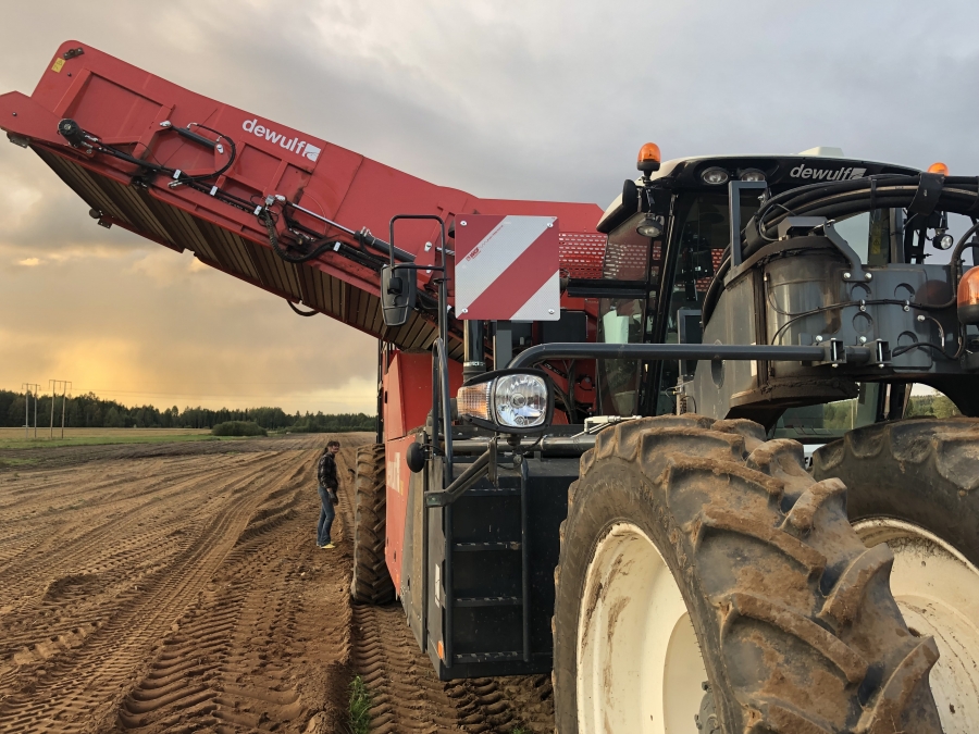 4702 Dewulf RQA3060 potato harvester selfpropelled