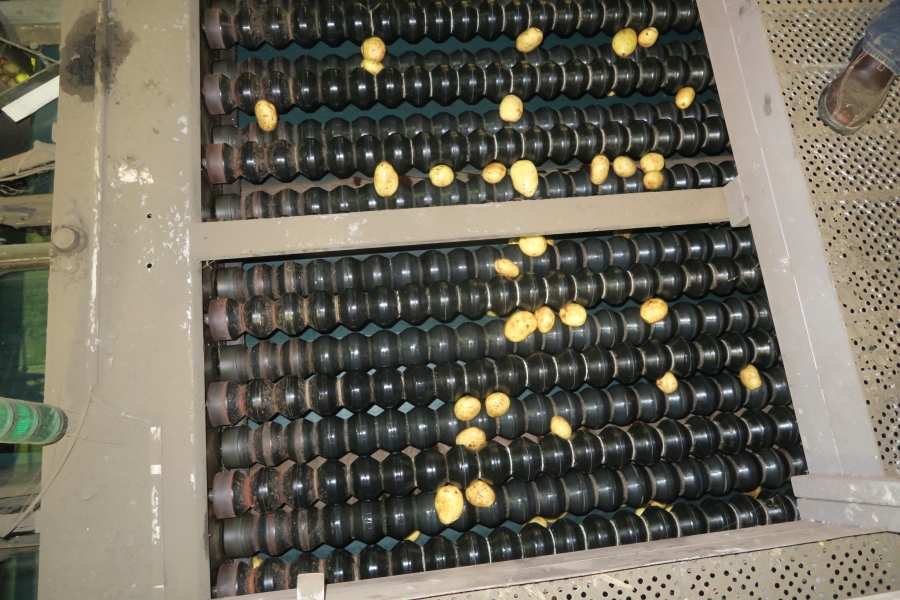 4749 WYMA Rollensortierer für Kartoffel / Zwiebel
