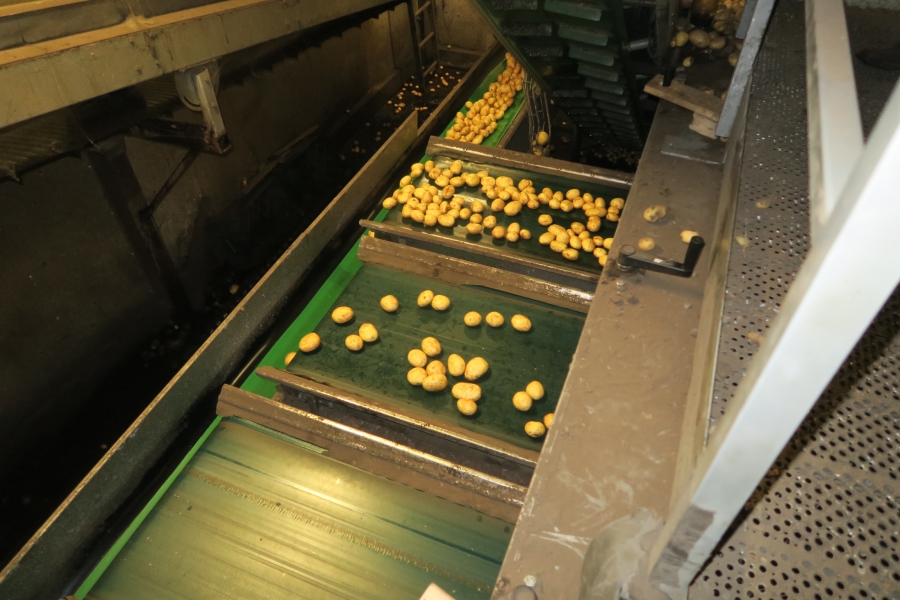 4749 WYMA Rollensortierer für Kartoffel / Zwiebel