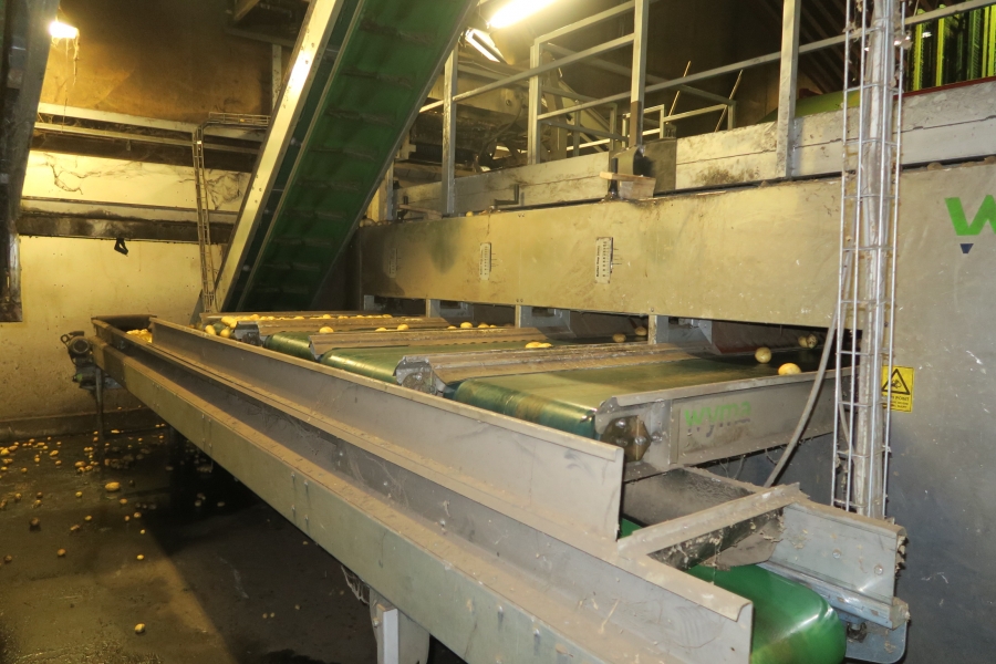 4749 WYMA Rollensortierer für Kartoffel / Zwiebel